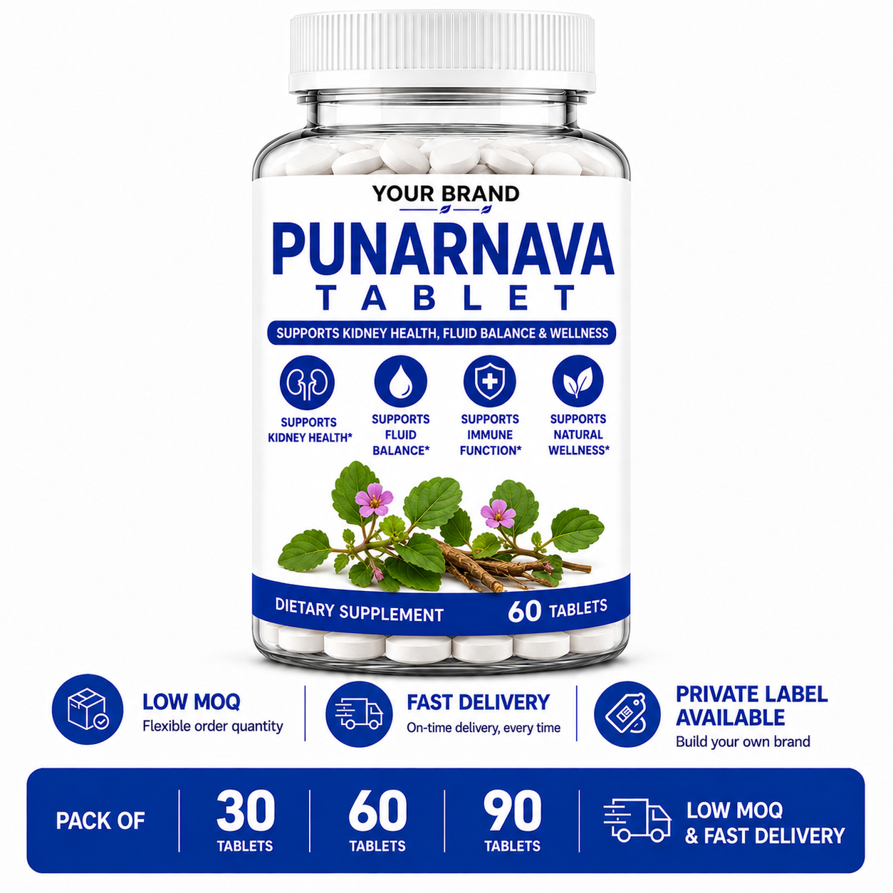 Punarnava Tablet